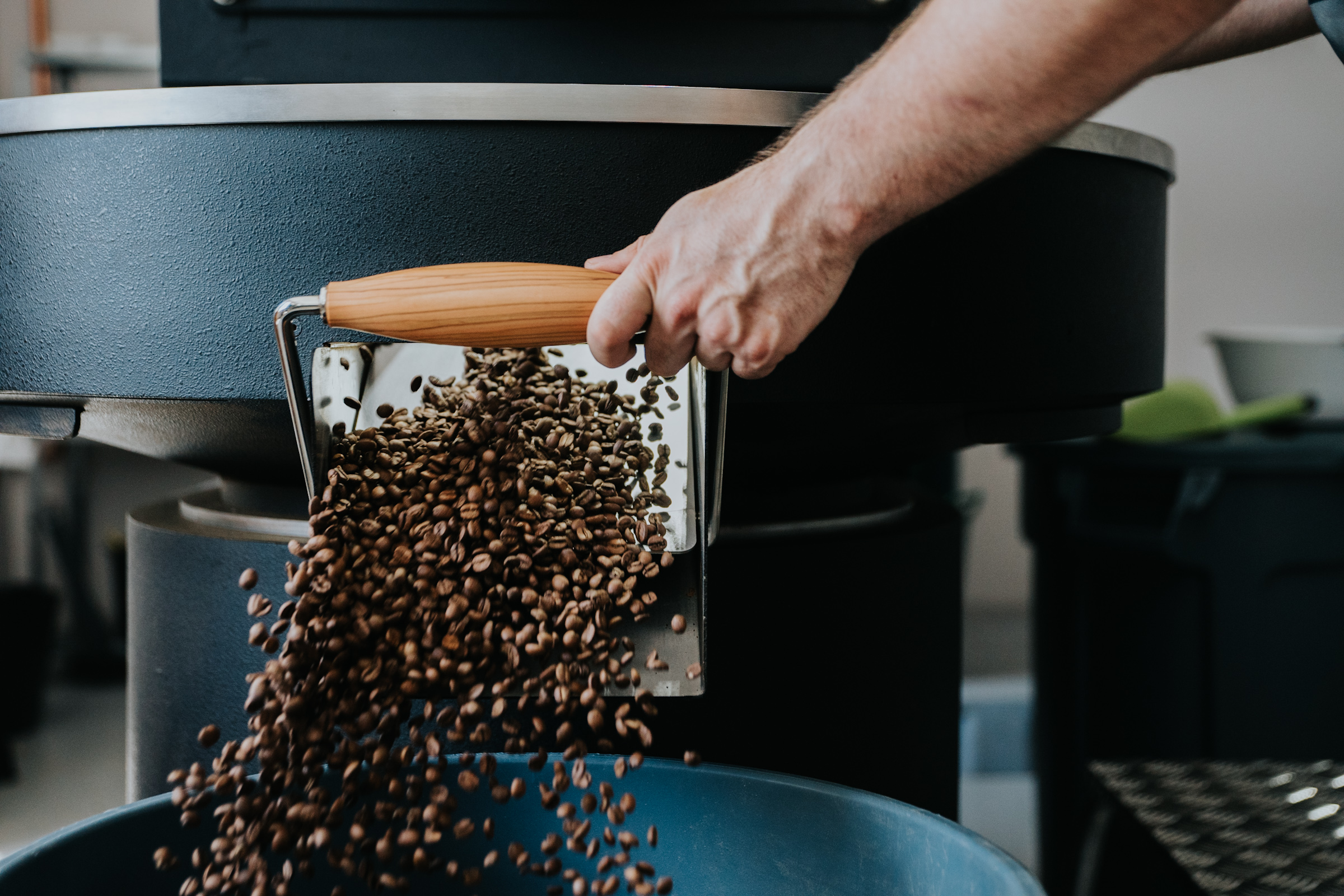 One Eleven coffee roaster and barista educational school