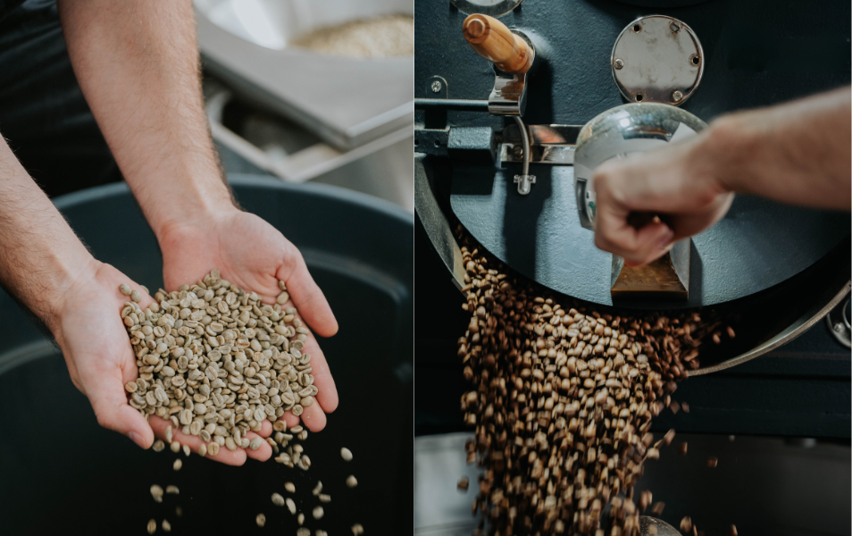 One Eleven Specialty Coffee Roasters